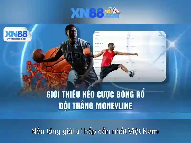 Lịch sử và sự phát triển Lịch sử và sự phát triển