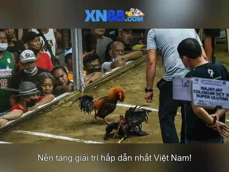 Cổng thanh toán và bảo mật Cổng thanh toán và bảo mật