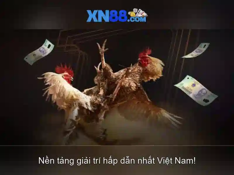 Lịch sử và nguồn gốc