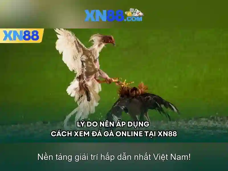Mẹo chơi bắn cá 3 cây dễ ăn tiền nhà cái