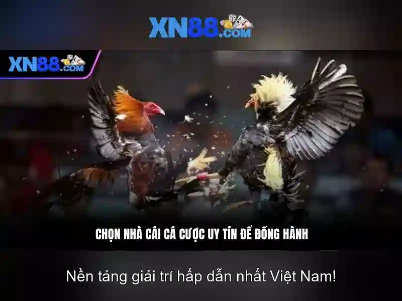 Khía cạnh công nghệ của xn88 Khía cạnh công nghệ của xn88