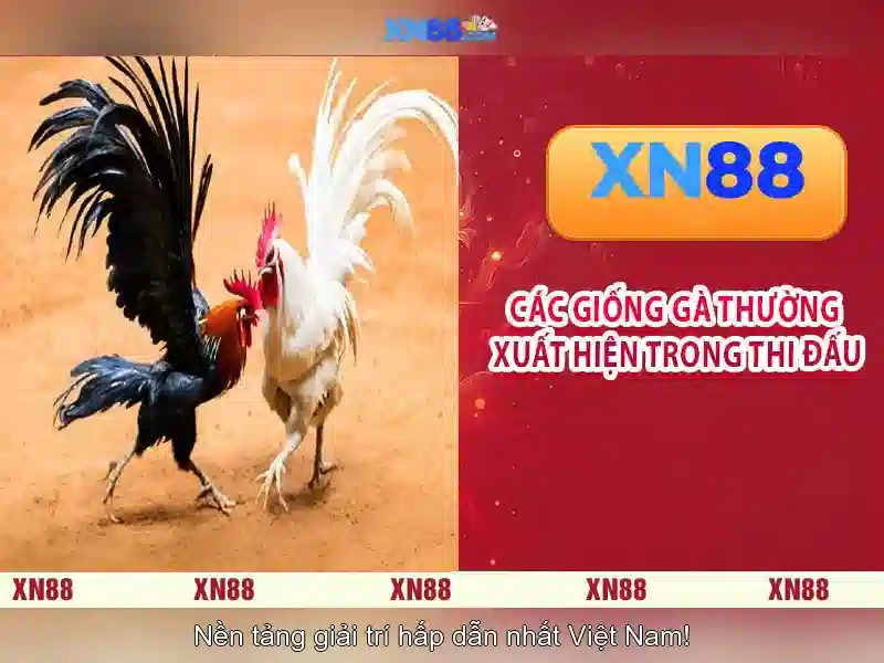 xn88: Nền tảng cá cược trực tuyến và cái nhìn toàn diện