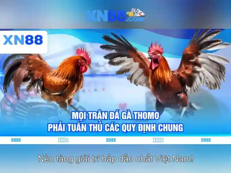 <!--IMG_PLACEHOLDER alt:Nguồn gốc từ ngữ và sứ mệnh--> <!--IMG_PLACEHOLDER alt:Nguồn gốc từ ngữ và sứ mệnh-->