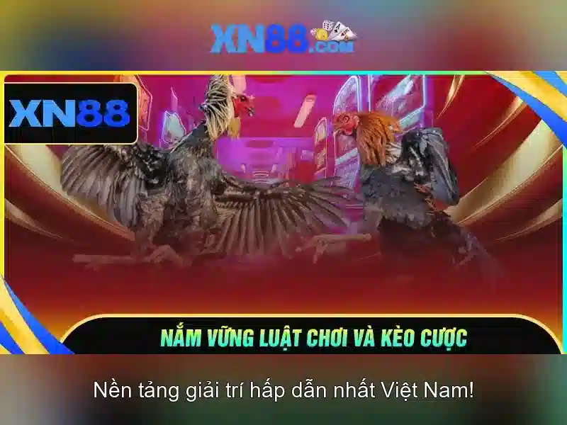 Giới thiệu về XN88 Giới thiệu về XN88