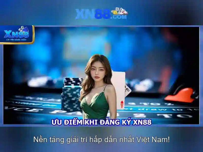 Trải nghiệm người dùng và phản hồi cộng đồng