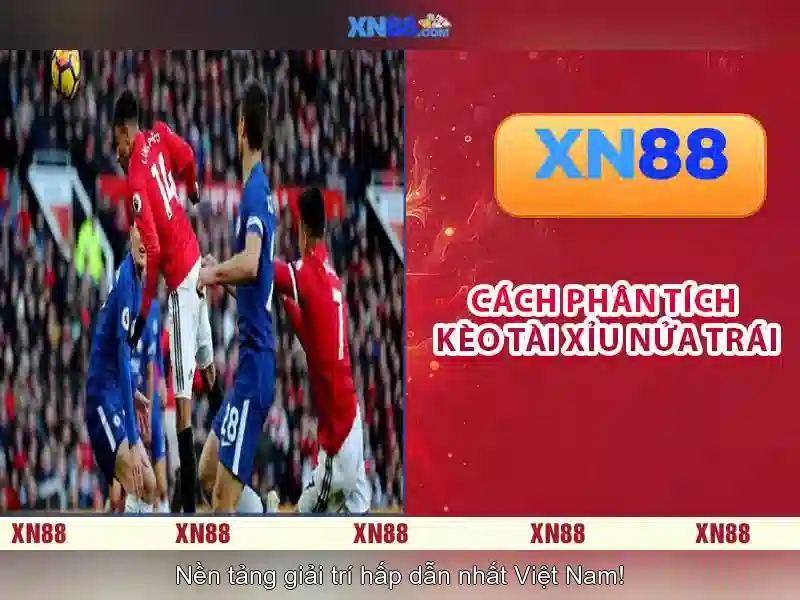 Xn88 - một cái nhìn tổng quan