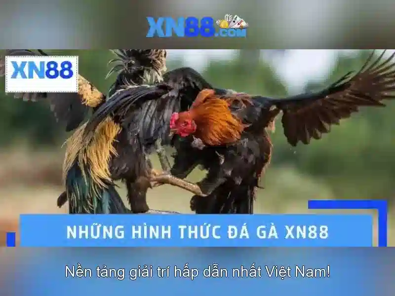 Mẹo chơi bắn cá 3 cây dễ ăn tiền nhà cái