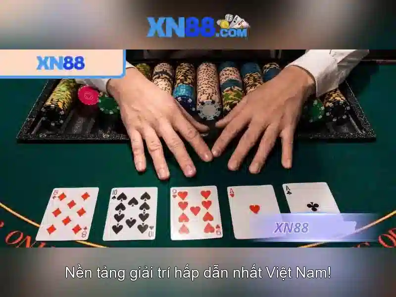 Các dịch vụ chính Các dịch vụ chính