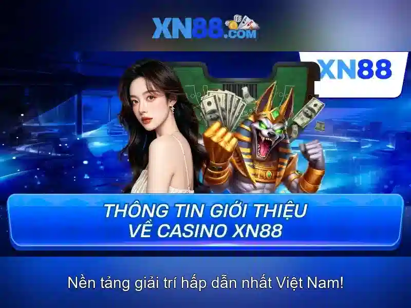 Các sản phẩm và chức năng chính Các sản phẩm và chức năng chính