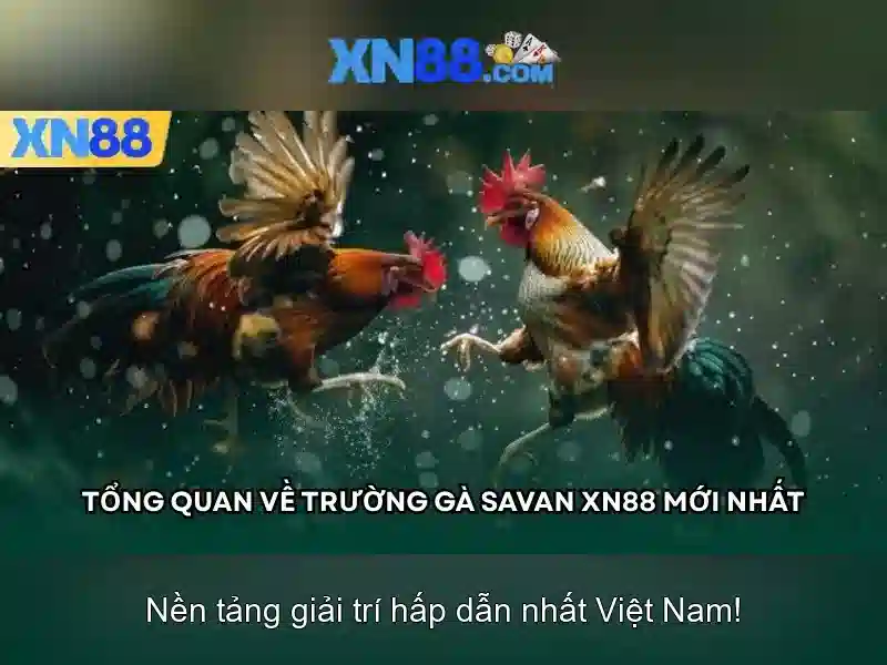 Xn88: Tổng quan về nền tảng trò chơi trực tuyến
