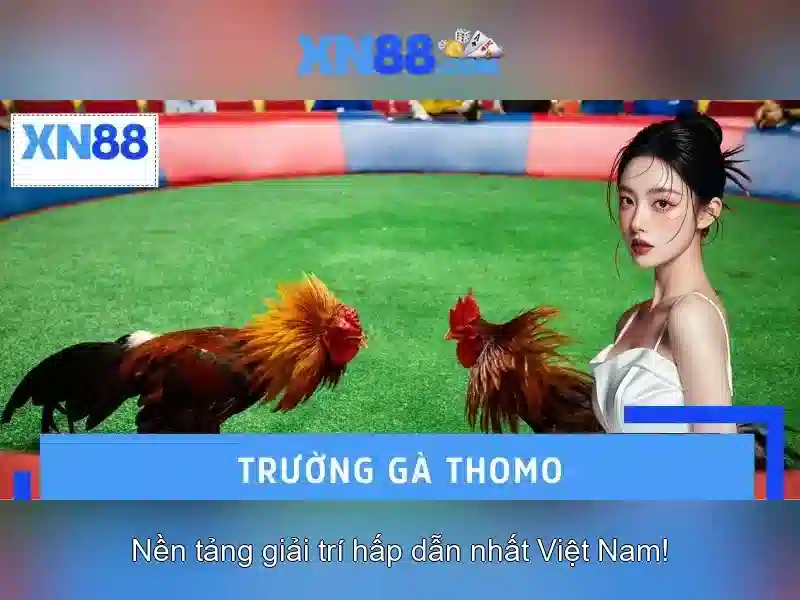Bảo mật và sự tin tưởng Bảo mật và sự tin tưởng