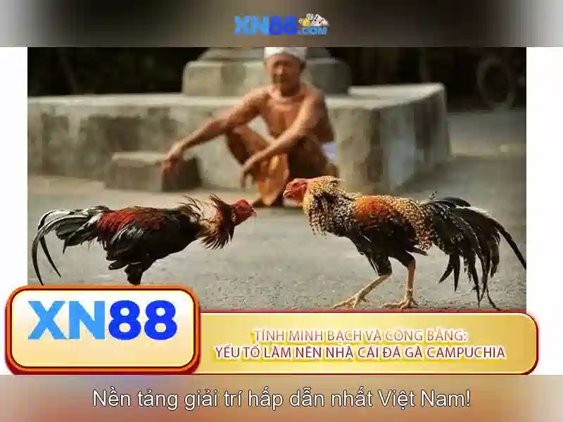 Danh mục trò chơi và thưởng Danh mục trò chơi và thưởng