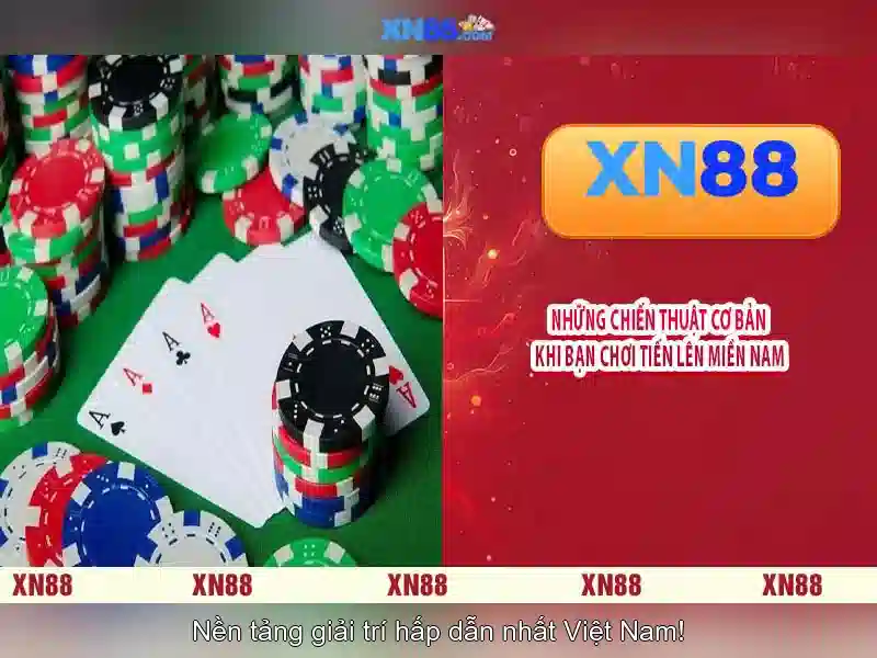 An toàn và giấy phép