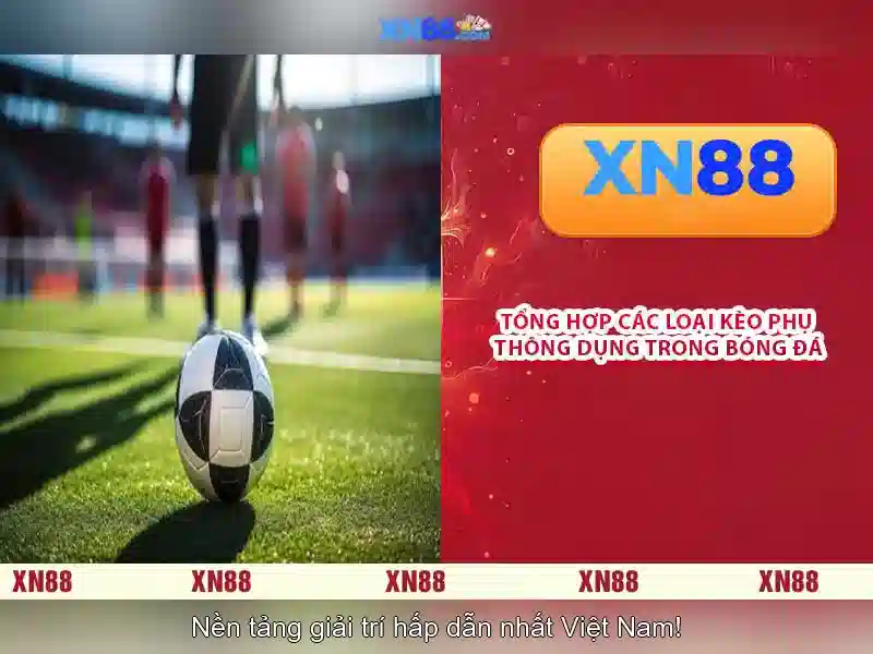 Giới thiệu về xn88