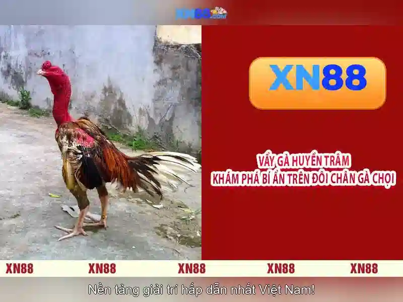 Mẹo chơi bắn cá 3 cây dễ ăn tiền nhà cái