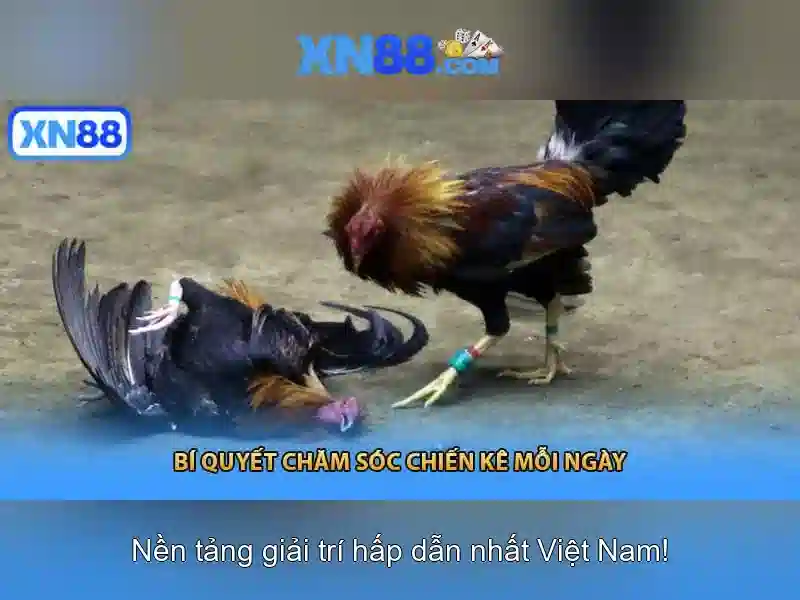 Mẹo chơi bắn cá 3 cây dễ ăn tiền nhà cái